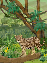 The jaguar is walking through the dense jungle. Wild cats of South America. Realistic vector landscape © AnnstasAg