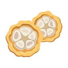 Chocolate cocoa bean cut in half cartoon illustration. Cacao beans with leaves on tree, sliced into halves and chocolate isolated on white