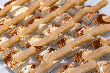 Russia. Saint-Petersburg. Public catering. Dessert with savoiardi cookies.