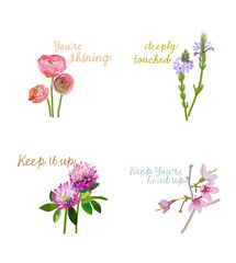 Flower language and flower illustration Ranunculus Red Clover Almond Flower Vervain