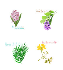 Flower language and flower illustrationHyacinth wisteria palm tree coronilla