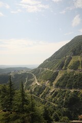 Obraz premium Beautiful mountain landscape with forest and green hills