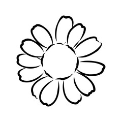 Daisy flower line art drawing. Vector hand drawn engraved illustration. Wild Chamomile black ink sketch. Wild botanical garden bloom. Great for tea packaging, label, icon, greeting cards, decor