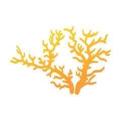 Algae cartoon flat vector illustration. Beautiful mythical creature with underwater animals isolated on white