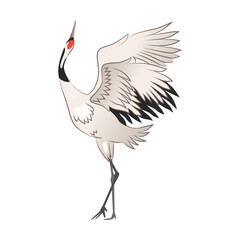 Crane bird cartoon illustration. Red crowned heron flapping wings. Stork or Japanese bird isolated on white background