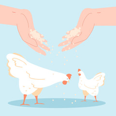 Feeding chickens with hand feed flat vector illustration. Unrecognizable farmer giving food to domestic animals. Care, farming, livestock concept for banner, website design or landing web page