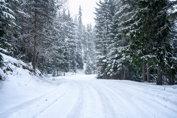 Beautiful view of a winter forest and a snowy road passing through it