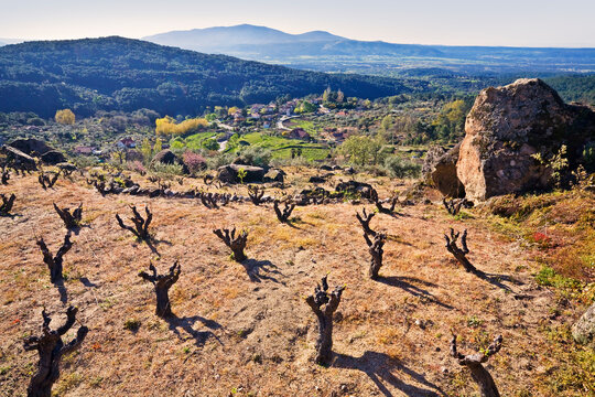 Campo en Gavilanes