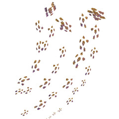 Graphic Element Backgrounds for Creative Projects, Package, Label, Logo, Card 