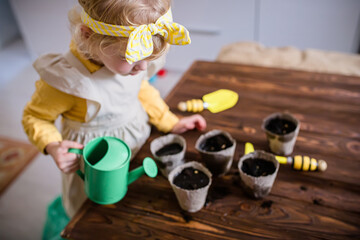 The baby watered the seeds of vegetables planted in environmentally friendly peat cups on a wooden...