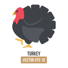 Turkey vector flat icon. Isolated sign design of gobbling bird traditionally eaten at Thanksgiving or Christmas. 