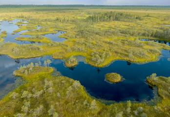 Swamp landscape on sunset. Wild mire of Yelnya, Belarus. East European swamps and Peat Bogs. Ecological reserve in wildlife. Marshland with islands and pine trees. Swampy land and wetland, marsh, bog.