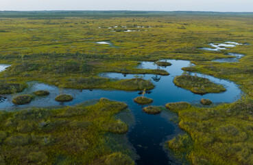 Swamp landscape. Wild mire Yelnya of Belarus. East European swamps and Peat Bogs. Ecological reserve in wildlife. Marshland with islands and pine trees. Swampy land and wetland, marsh, bog.
