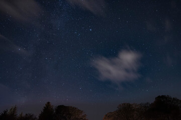 Fototapeta premium Night full of stars and some clouds and trees in the background. Night view of the sky many constellations