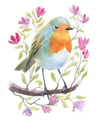 Watercolor hand drawn illustration of small robin bird on a twig with little flowers