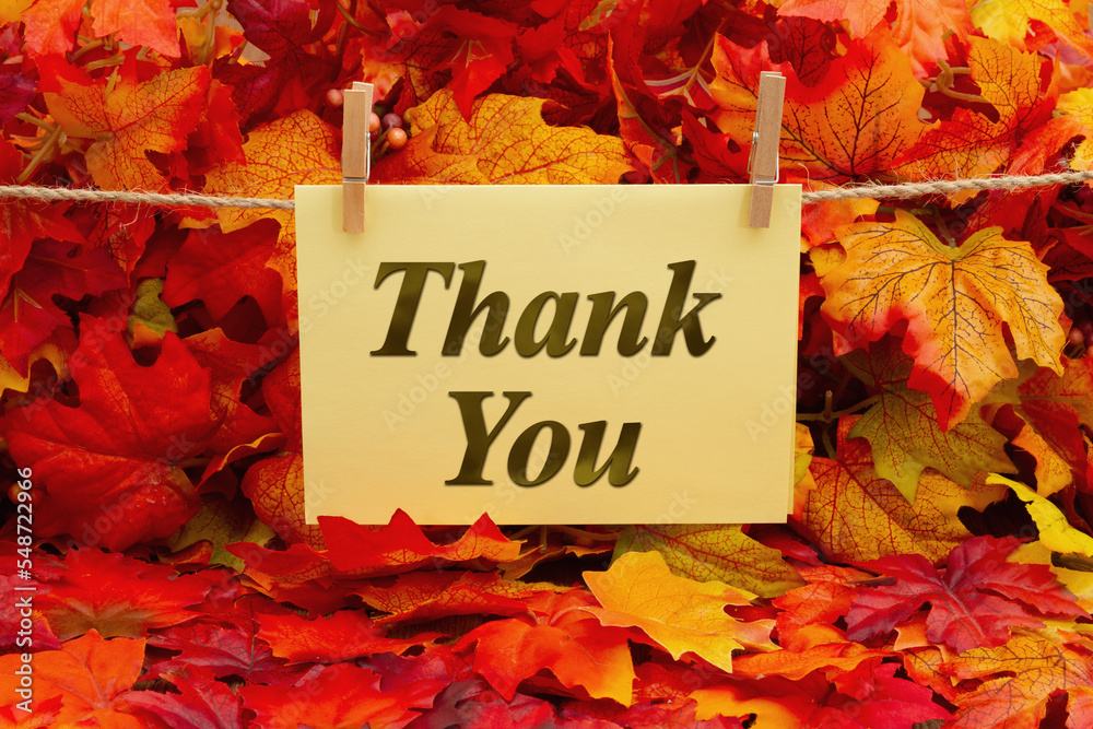 Wall mural thank you greeting card with fall leaves - Wall murals