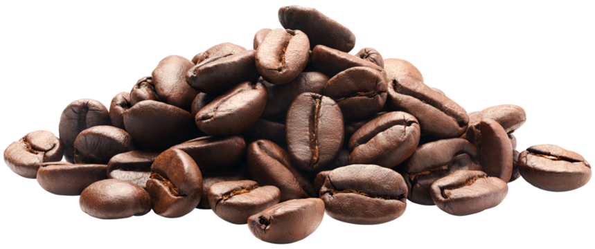 Group of coffee beans