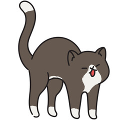 Cat stretching vector illustration