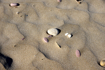 Stones on sand at beach. Sea stones background at seashore. Colored stone on coastline. Stone on sand background at sea beach. Pebbles at coast. Pebble as abstract natural background. Sea stones. .