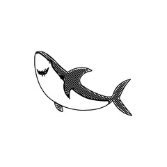 sketch, fish, drawing, illustration, shark, ocean, water, animal, vector, nature, sea, wild, underwater, teeth, wildlife, predator, background, dangerous, silhouette, danger, white, isolated, art