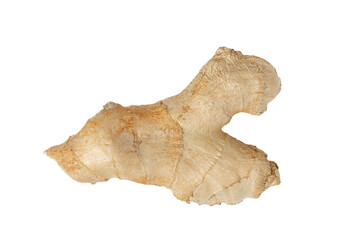 Zingiber officinale close-up. Ginger root isolated on white background