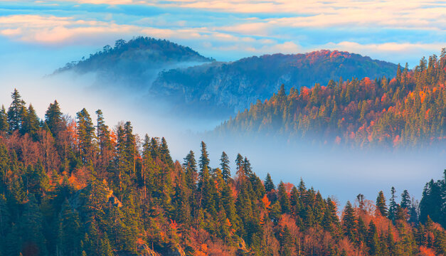 Aerial view of autumn forest over the clouds - Yedigoller , Turkey - Autumn landscape in (seven lakes) Yedigoller Park Bolu, Turkey