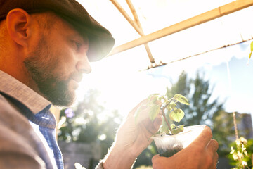 A male farmer holds a tree seedling in his hand to plant in the vegetable plot. Seedling plant...
