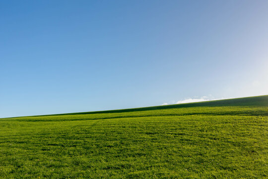 Landscape view of green grass field on slope hill under blue sky and white fluffy clouds, Green meadow on hilly side with warm sunlight in the morning, Nature background, Free copy space for your text