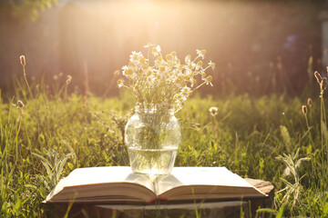Open book and jar with chamomiles on green grass outdoors