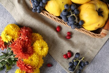 Flat lay composition with beautiful chrysanthemum flowers, rose hip berries and sweet fruits on grey table