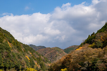 紅葉と渓谷の綺麗な秋の長門峡　山口県