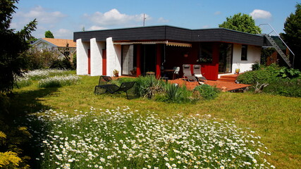 schönes modernes Haus mit großem malerischem Garten und vielen blühenden Margeriten bei blauem...