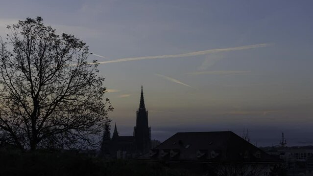 Ulm Minster and a tree at morning in dawn time lapse