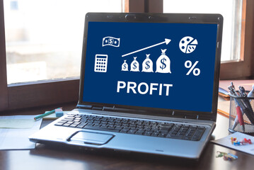 Profit concept on a laptop screen