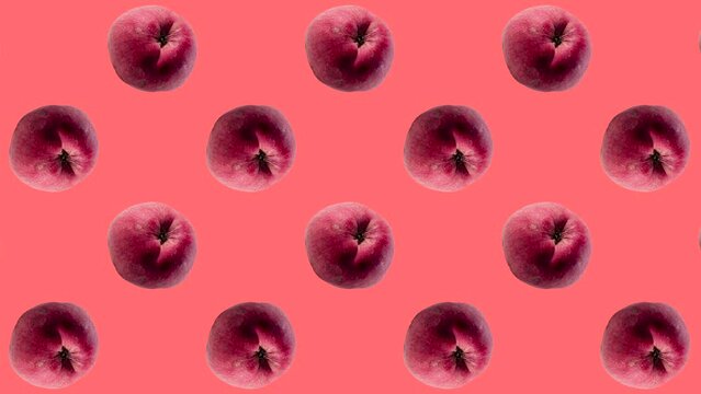 Red apples in geometric grid in seamless loop pattern on a coral background. Exotic fruits in seamless loop animation. Endless food motion graphic background