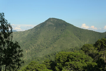 Big mountain and trees under blue sky on sunny day