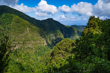Fototapeta premium Caldeirao Verde, one of the most beautiful levadas on the island.