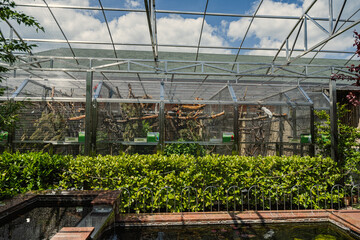 Cages of parrot zoo in sunny day.
