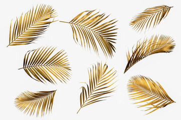 Gold palm leaves plant frame isolated on a white background. top view. copy space. abstract.