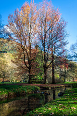 Fototapeta premium Vizille, Isère, Rhône-Alpes, France, 20 11 2022 photos of autumn landscapes in the park of the castle of Vizille