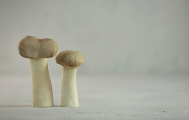 mushrooms close-up on a gray background with a copy space. food minimalism. food concept.