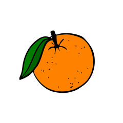 Bright ripe orange with one green leaf. Half a citrus in section. Lettering word orange. PNG hand drawn