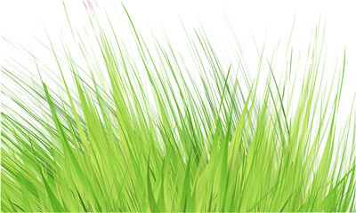 Grass Border , PNG Illustration
