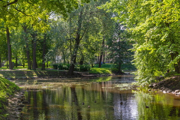 Fototapeta na wymiar Saint Petersburg, picturesque pond