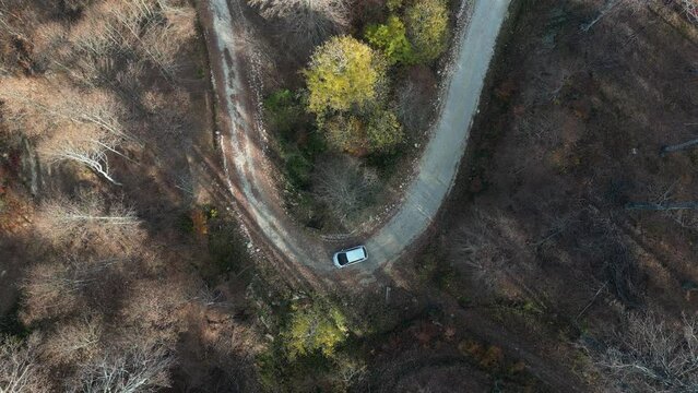 Aerial view of road amidst trees during autumn	