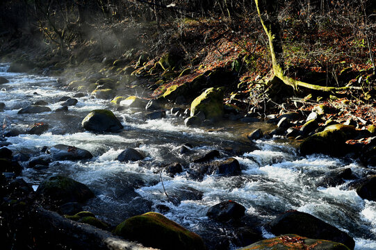 「クリーク」の画像 57,134 件の Stock 写真、ベクターおよびビデオ Adobe Stock