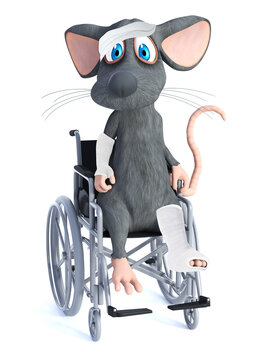 3D rendering of an injured cartoon mouse in wheelchair.
