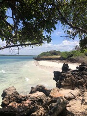 Fototapeta premium Short Beach in Watamu Kenya.