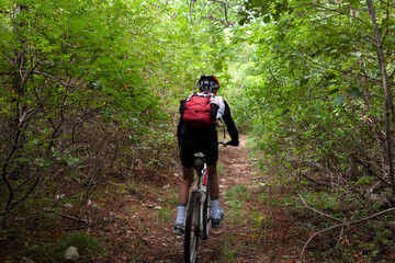 Mountain biker riding cycling in the autumn forest
