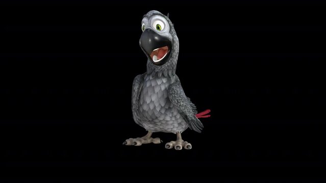 Funny Grey Parrot Macaw 3D animated illustration on transparent alpha background HD